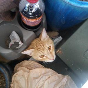 Meet your Posher, Mary